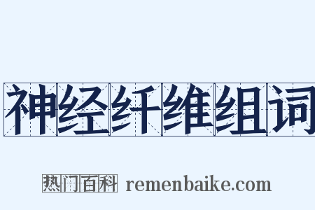 神经纤维组词是什么意思的图片